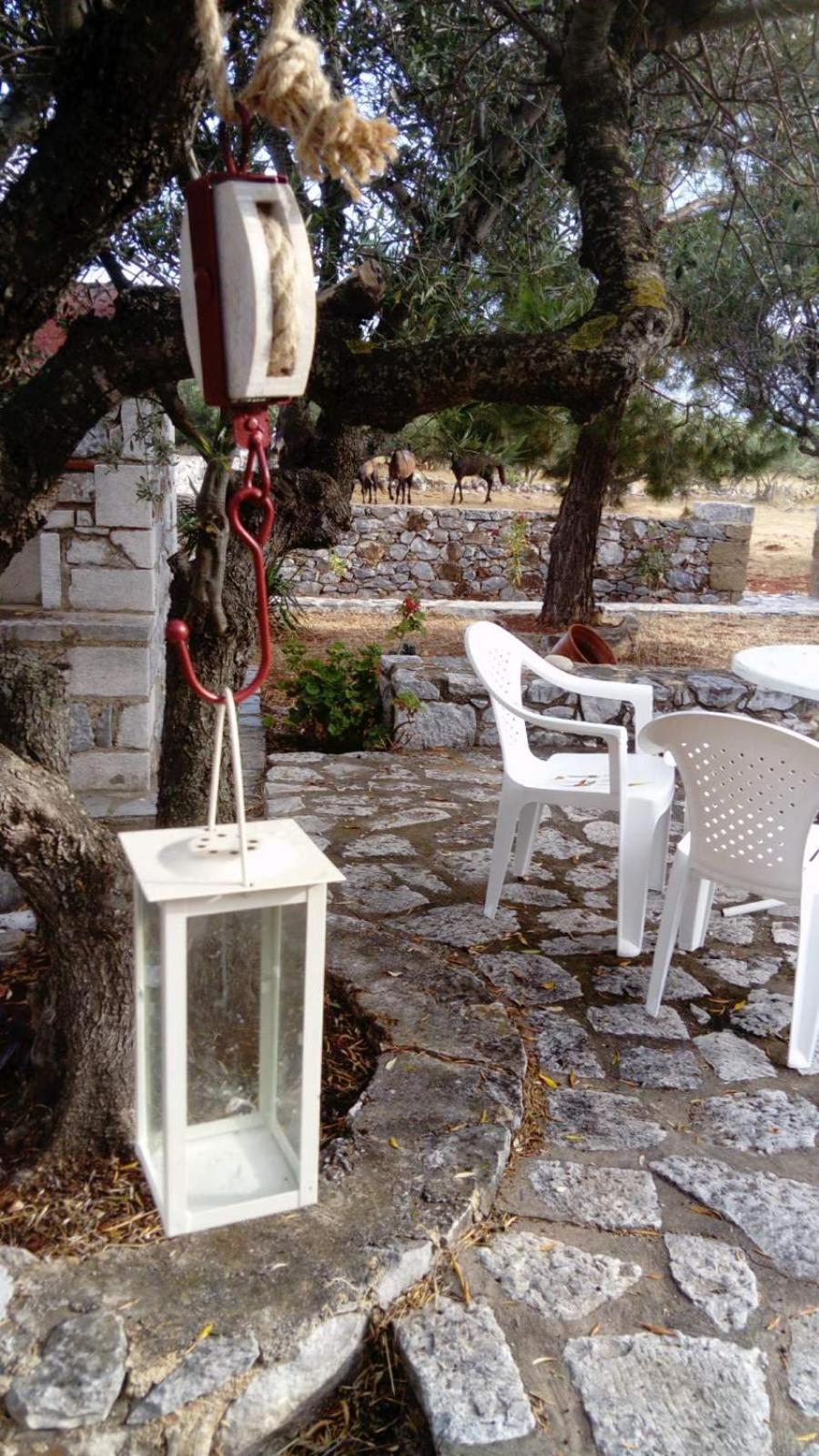 Apartment Charouda Stone Tower Xenonas