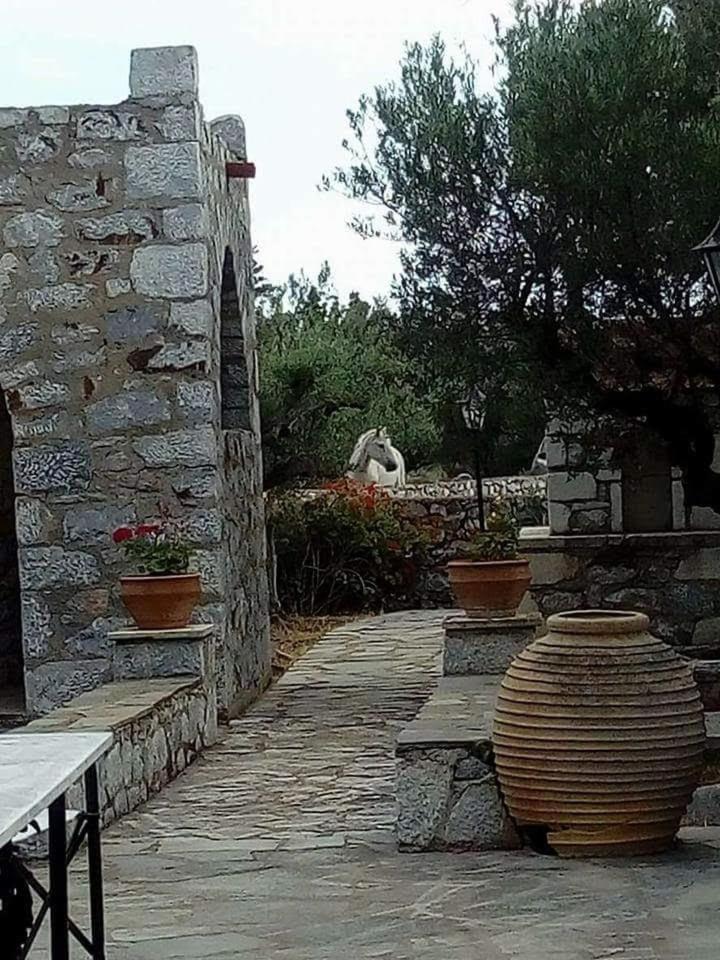 Apartment Charouda Stone Tower Xenonas *