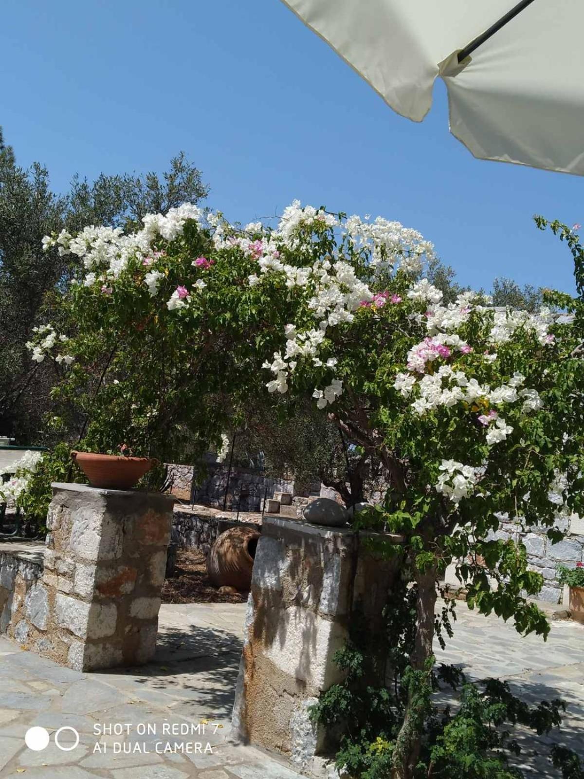 Apartment Charouda Stone Tower Xenonas *