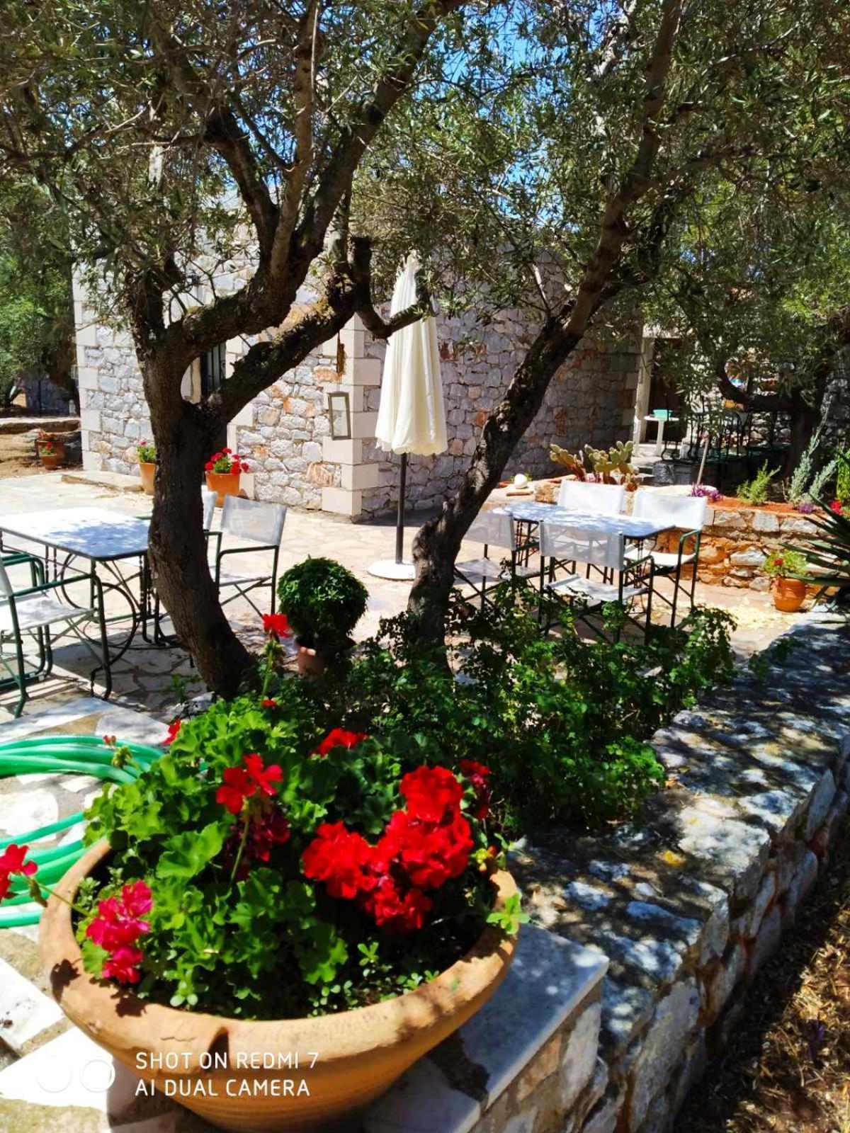 Apartment Charouda Stone Tower Xenonas Pyrgos Dirou